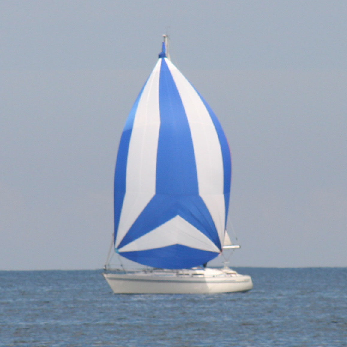 Sail & Win Logo